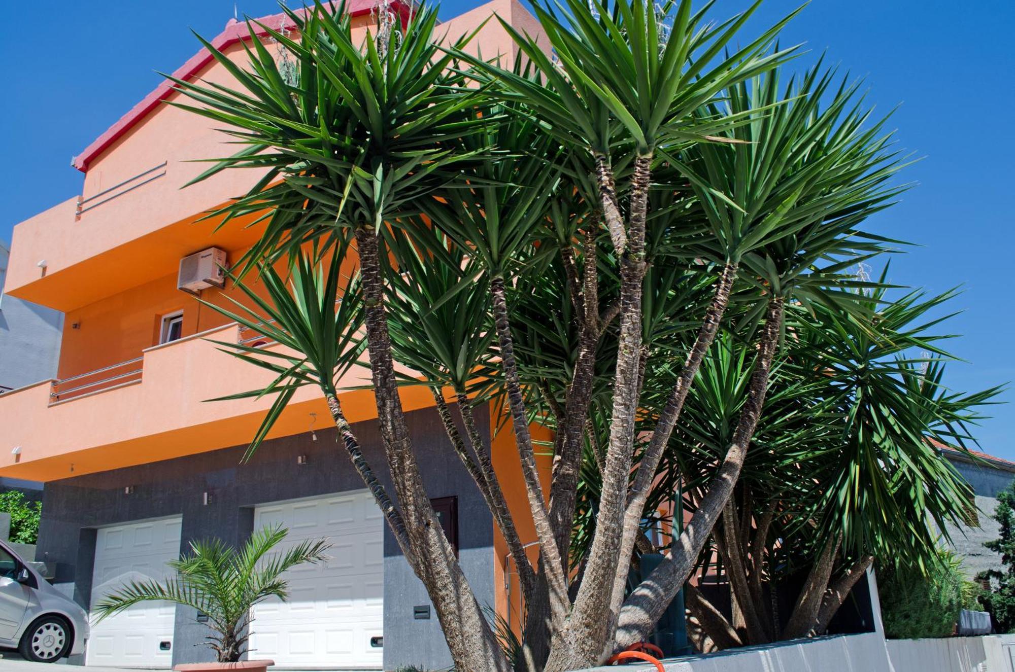 Apartments Villa Sunrise Okrug Gornji Εξωτερικό φωτογραφία